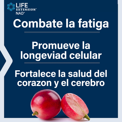 NAD+ Energía y Longevidad Celular
